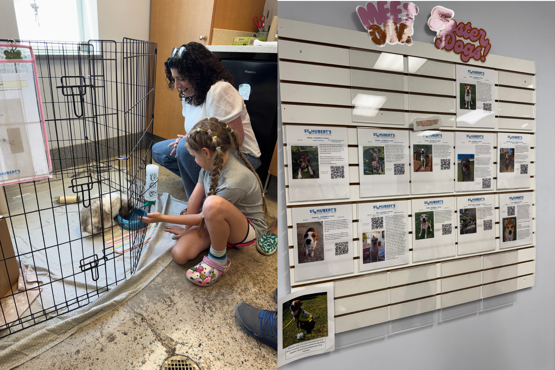 12 Months of Kindness: Supporting St. Hubert’s Animal Welfare Center
