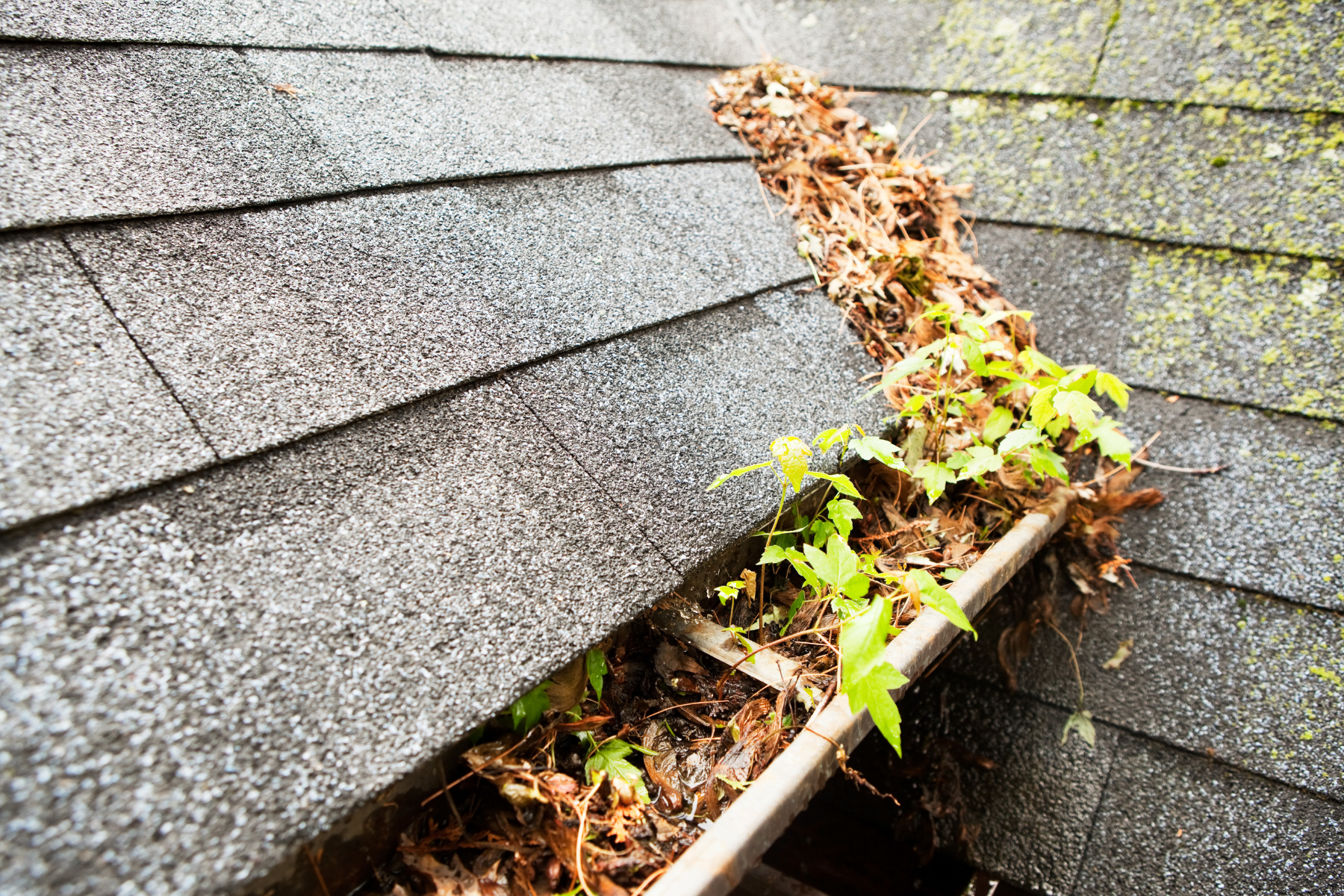 8 Fall Home Maintenance Projects to Prepare for Winter (3)