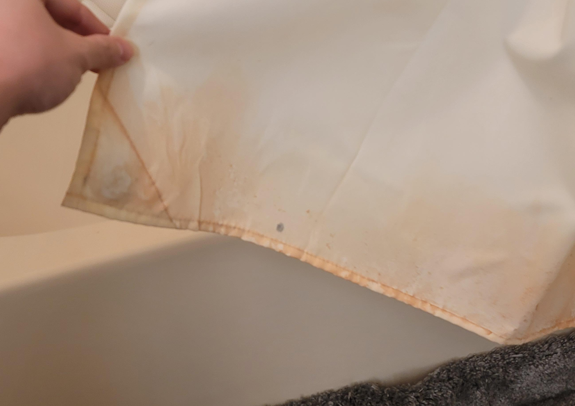 How To Prevent Mold in a Bathroom (2)