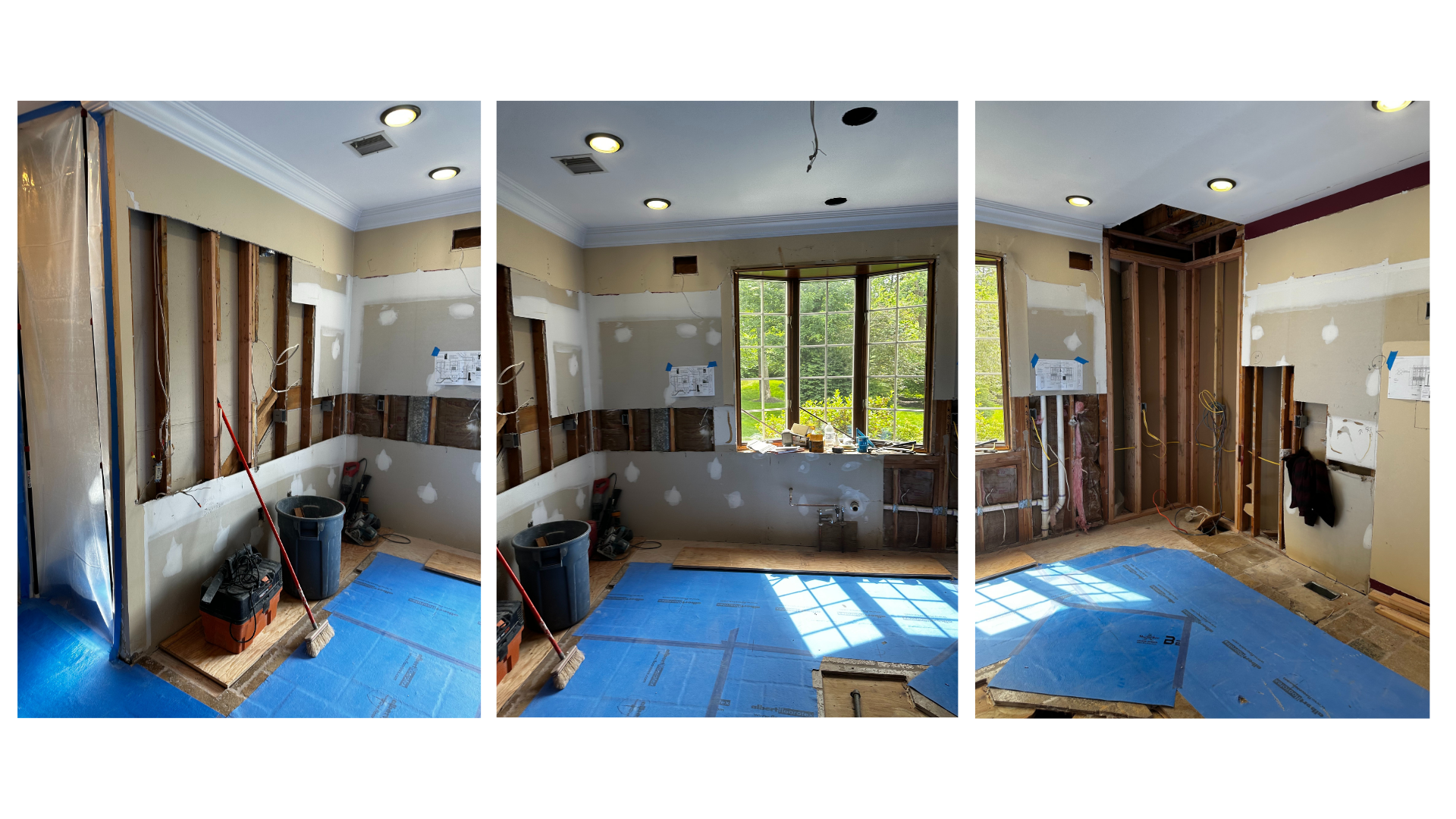 ROTY Award Winner (4)